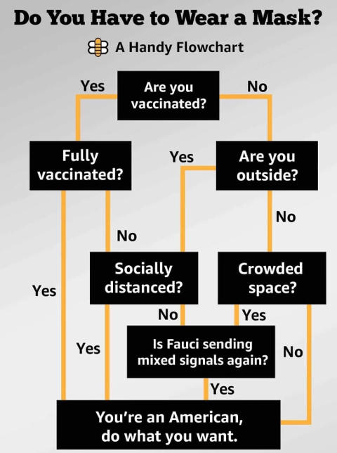 vaccinated-fauci-cdc-youre-american-do-what-u-want.jpg