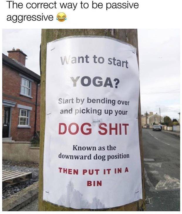 Yoga_Dog_Shit_jpg-947328.jpeg